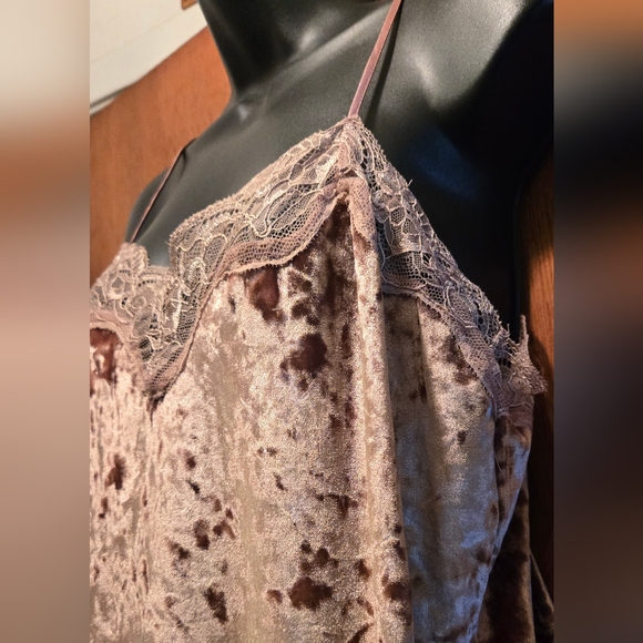 Lauren Conrad mauve crushed velvet & lace stretch camisole szM NWOT - Picture 4 of 6